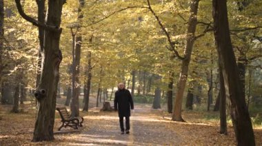 Lonely aged man walking along alley in autumn park