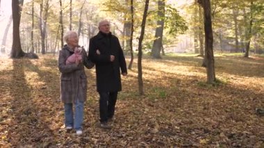 Aged couple walking down hill among fallen leaves