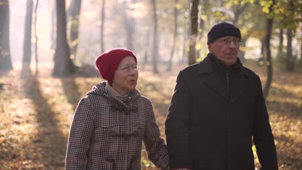 Elderly couple talking while walking around park — Stockvideo