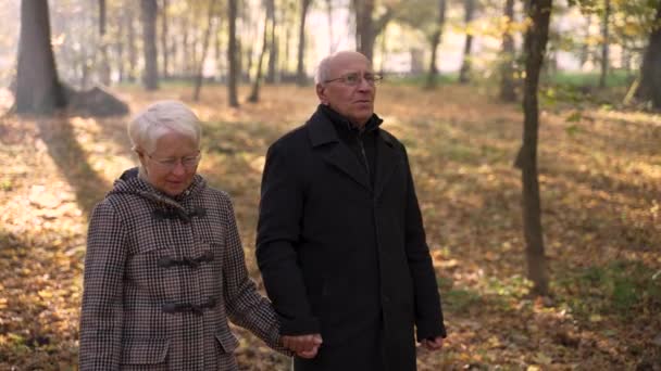 Positive aged couple enjoying walk in forest park — Stockvideo