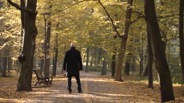 Elderly male walking alone along park alley — Αρχείο Βίντεο