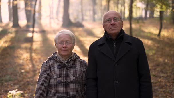 Sonbahar parkında yürürken poz veren yaşlı çift — Stok video