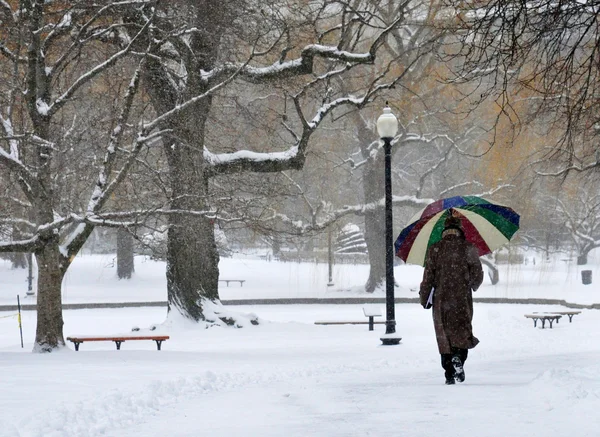Een man met gekleurde paraplu wandelen in een besneeuwde park — Stockfoto