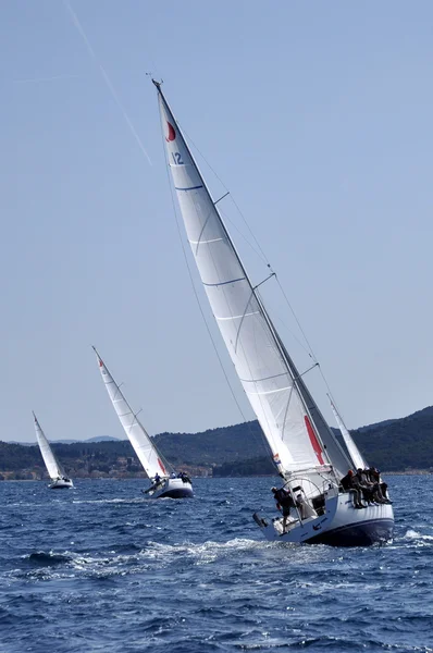 Yacht race — Stockfoto