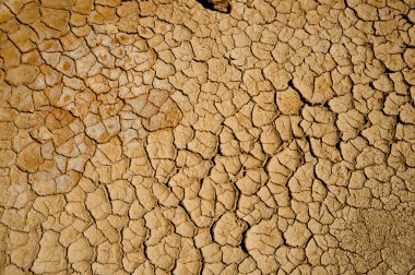 arka plan-doğal serisi.