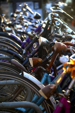 amsterdam sokaklarında bisiklet. Hollanda'ya göster