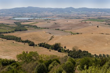 livorno yakınındaki kırsal kesimde toscana