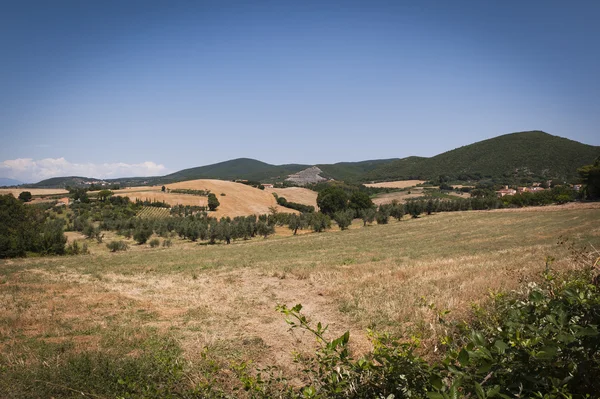 Деревня рядом с Ливорно в Тоскане — стоковое фото