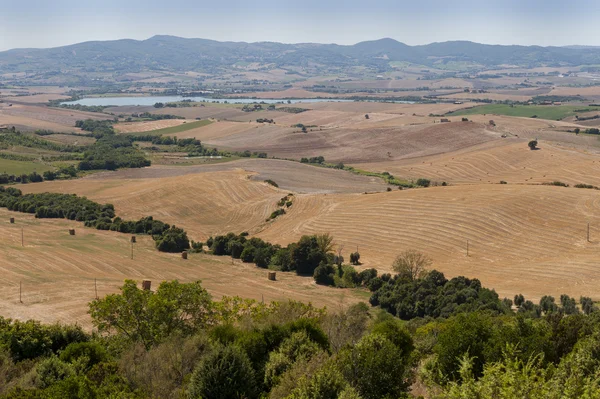 Krajině nedaleko Livorna v toscana — Stock fotografie