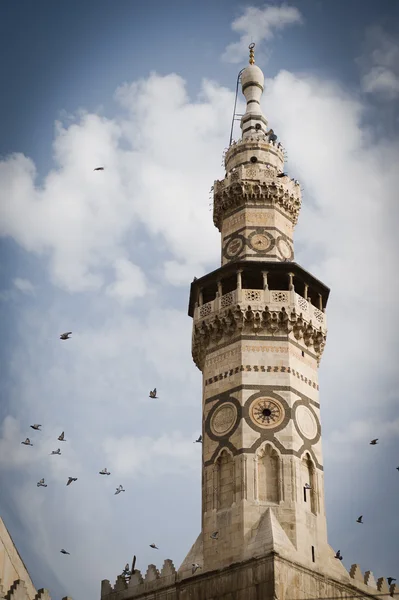 Damas la grande mosquée omeyyade — Photo