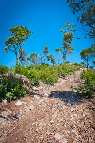 Calle, Rural, Paisaje — Foto de Stock