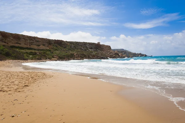 Malta'da altın defne