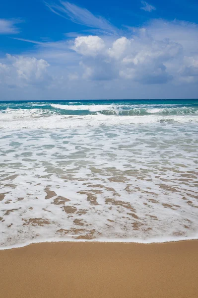 Malta'da altın defne