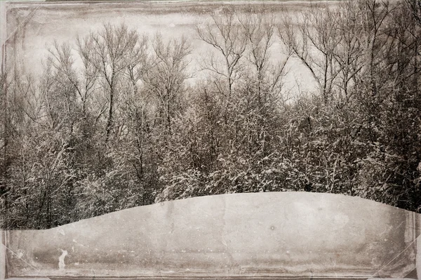 Vintage winterlandschap — Stockfoto