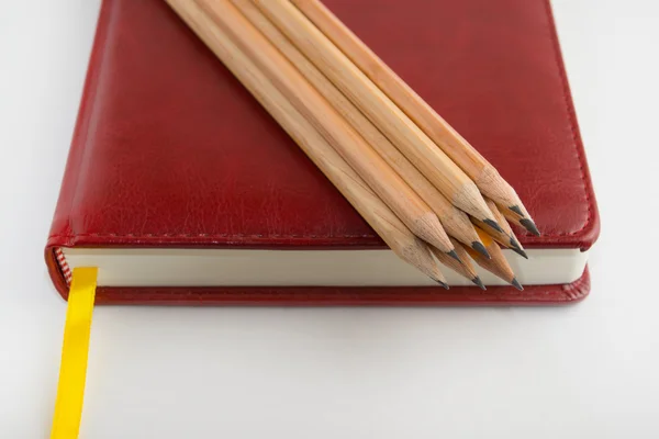 Napi napló ceruza — Stock Fotó