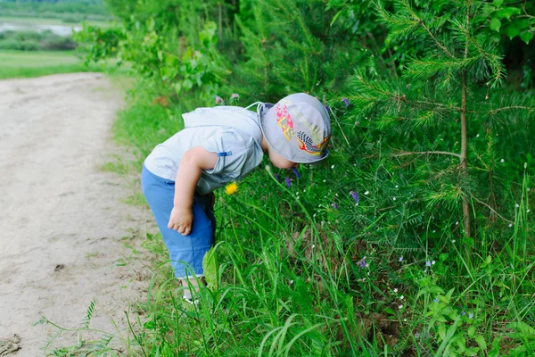 Boy in grass — Stock Photo, Image