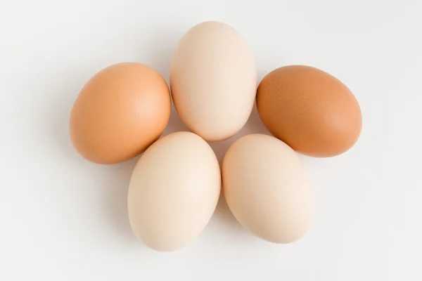 Eggs — Stock Photo, Image