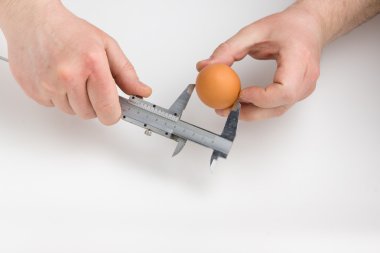 yumurta ölçüm