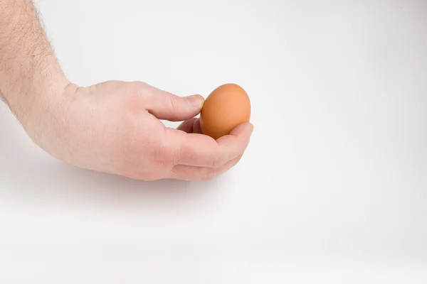 Egg in human hand — Stock Photo, Image