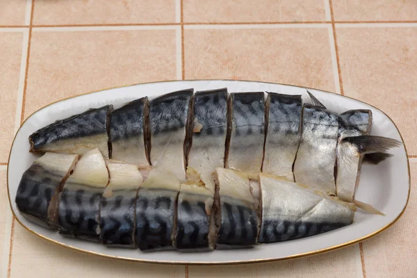 The mackerel — Stock Photo, Image