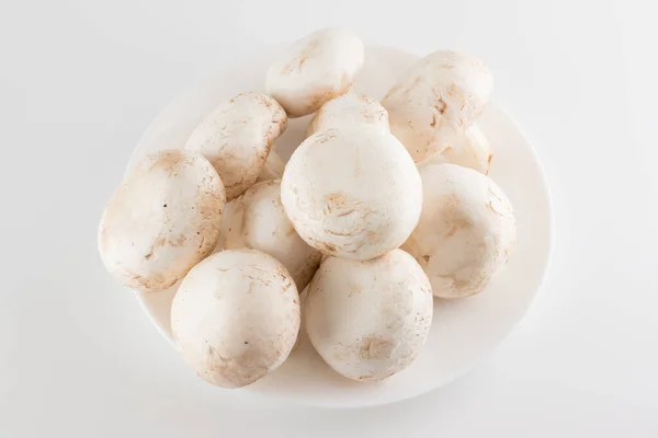 Premium Champignon Pilze Isoliert Auf Weißem Hintergrund — Stockfoto