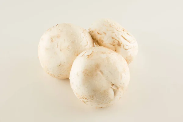 优质香菇在白背胶上分离 — 图库照片