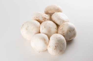 Birinci sınıf şampiyon mantarları beyaz grupta izole edilmiş.