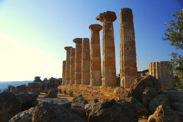 Herkül Tapınağı - argigento, Sicilya — Stok fotoğraf