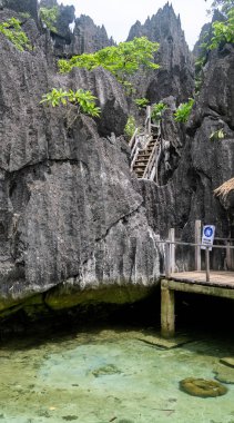 Barracuda Gölü, Coron, Palawan 'da bozulmamış su. Kireçtaşı kayalıklarıyla çevrili, Filipinler 'de popüler bir turizm merkezi ve dalış noktası..