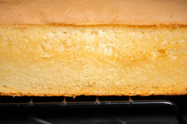Fresh Baked Golden Undecorated One Quarter Size Sponge Cake Slab — Stock fotografie
