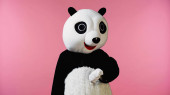 person in panda bear costume gesturing while waiting isolated on pink 