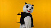 osoba v kostýmu medvěda pandy s batohem izolovaným na žluté 
