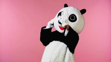 Panda kostümlü bir insan pembe üzerinde el sallıyor. 