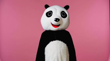 Siyah ve beyaz panda kostümlü kişi pembeye izole edilmiş. 