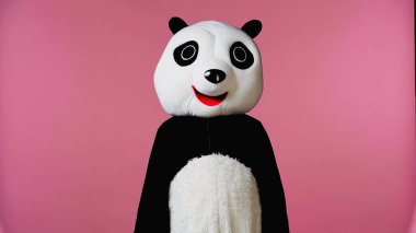 person in black and white panda bear costume isolated on pink  clipart