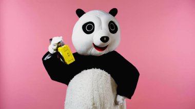Mutlu panda kostümlü insan pembe üzerine izole edilmiş teyple dans ediyor.