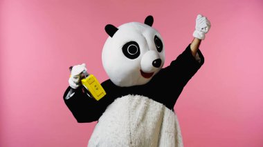 Panda kostümlü insan pembe üzerine izole edilmiş teyple dans ediyor.
