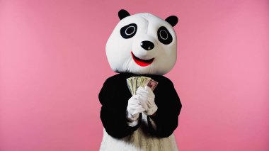 Panda kostümlü bir insan pembe üzerinde dolar banknotları tutuyor. 