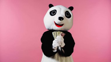 person in panda bear costume holding dollar banknotes isolated on pink  clipart