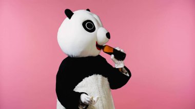 Panda kostümü giyen, şişeden şarap içen ve pembeye izole edilmiş mantar tutan biri.
