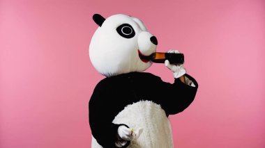 Panda kostümü giyen, şişeden şarap içen ve pembeye izole edilmiş mantar tutan biri.