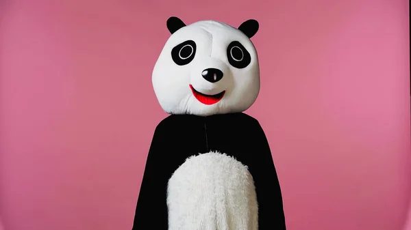 Pessoa Preto Branco Panda Urso Traje Isolado Rosa — Fotografia de Stock