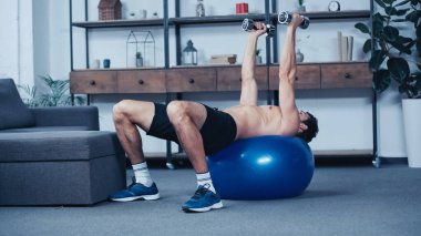 Genç sporcu antrenmanında evde spor salonunda dambıllar var. 