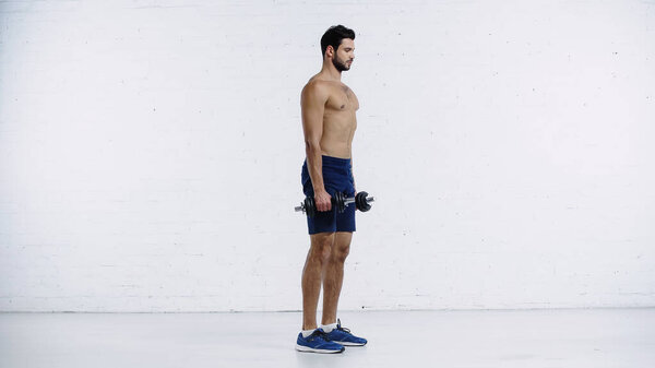 full length of sportive and shirtless man working out with dumbbells against white brick wall 