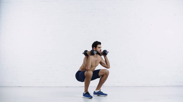 full length of sportive man in shorts squatting with dumbbells against white brick wall 