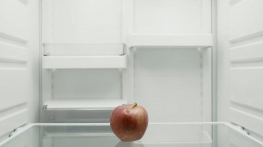 ripe red apple on shelf in empty fridge
