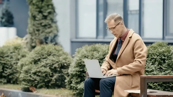 Businessman in coat using laptop near newspaper on bench outdoors