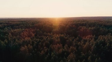 Aerial view of sunset above forest 
