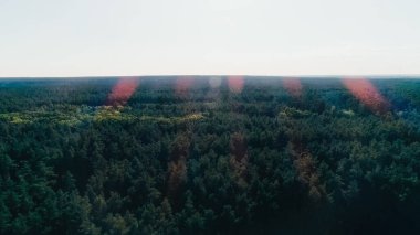 Aerial view of green forest and sky at daytime 