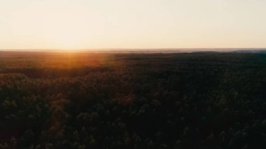 Aerial view of sunset sky and forest 